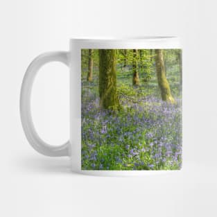 Bluebells in Cally Woods, Gatehouse of Fleet Dumfries Galloway Photo Mug